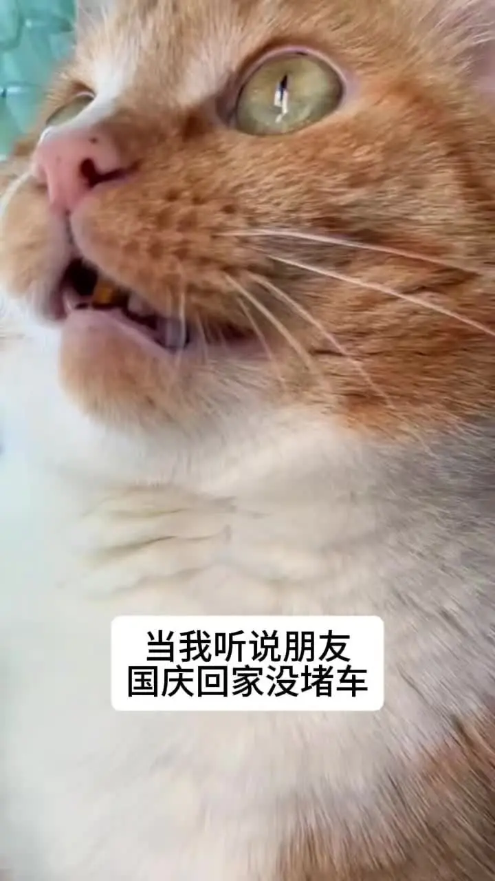 不可能，绝对不可能