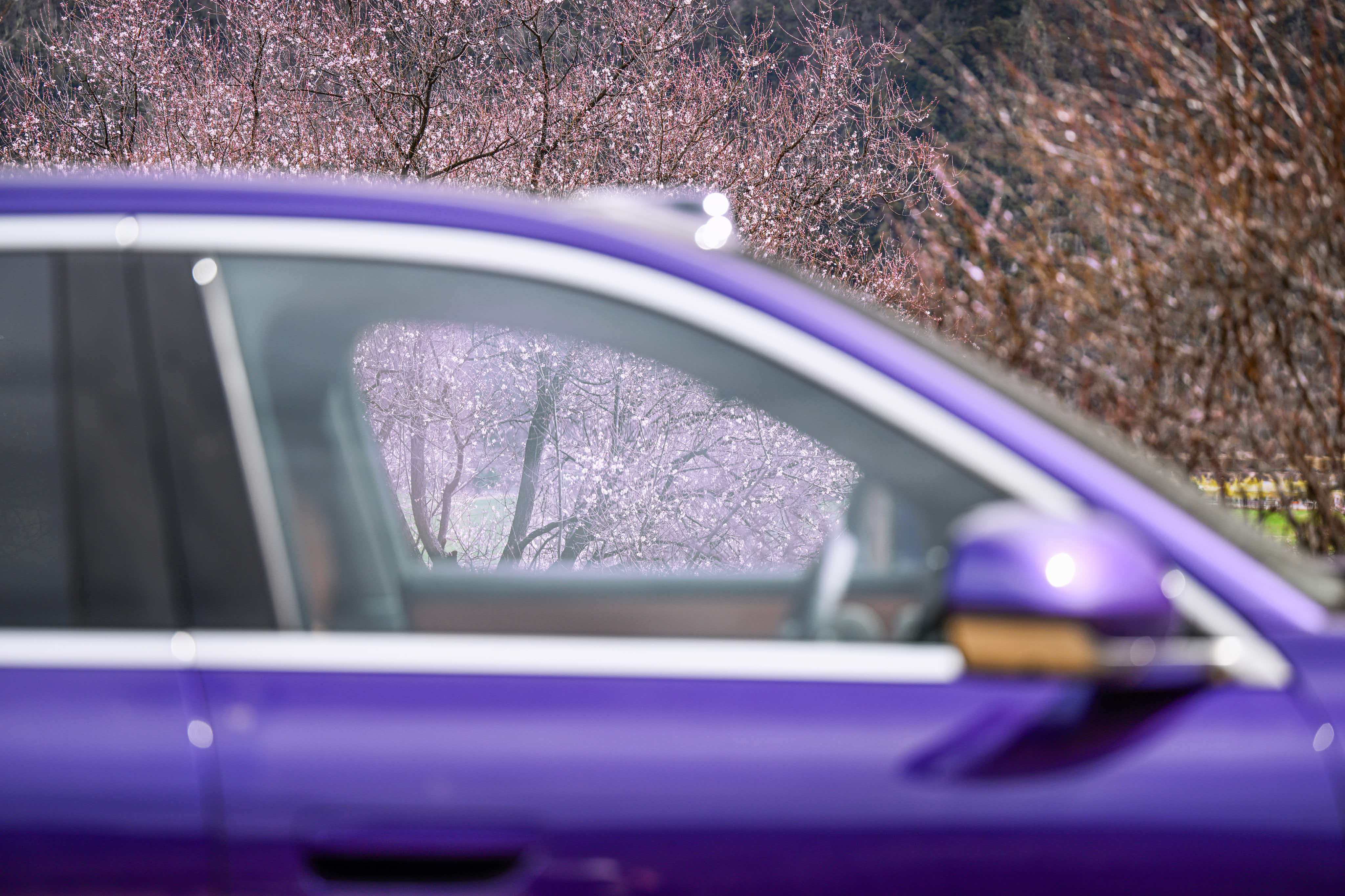 问界M6星夜紫。