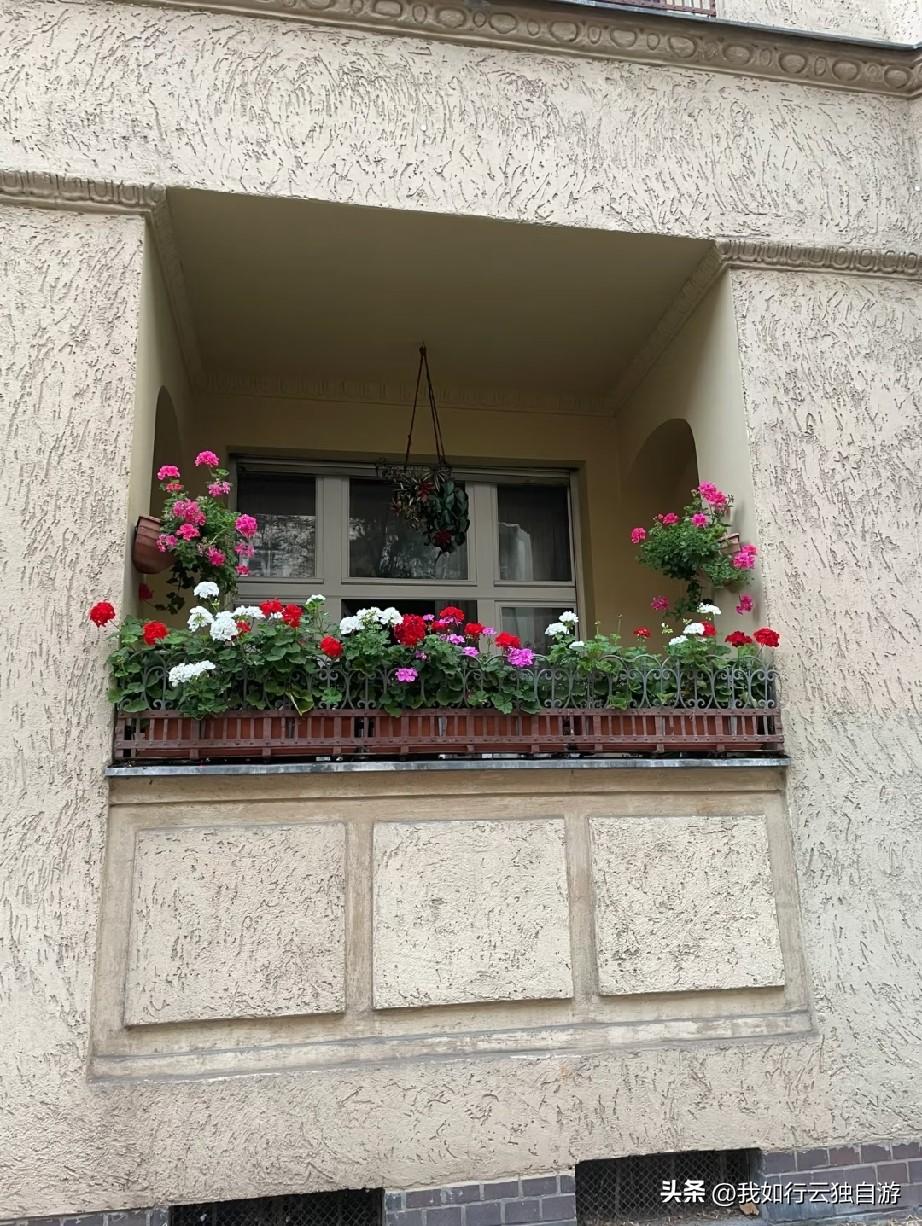柏林人是很会种花还是买花太方便了？