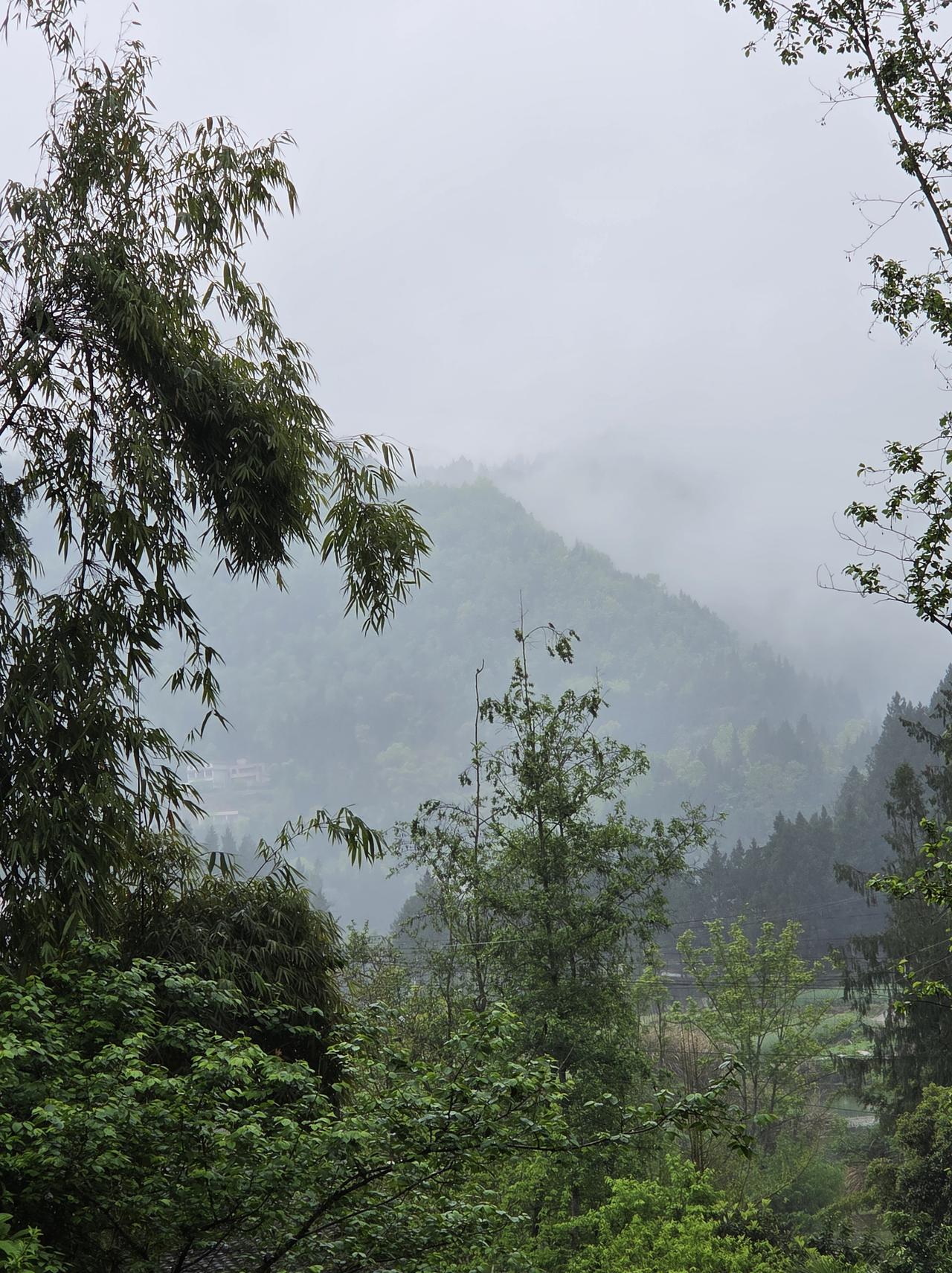 翠绿新雨后，朦胧罩远山。春天的乡村最是美丽。