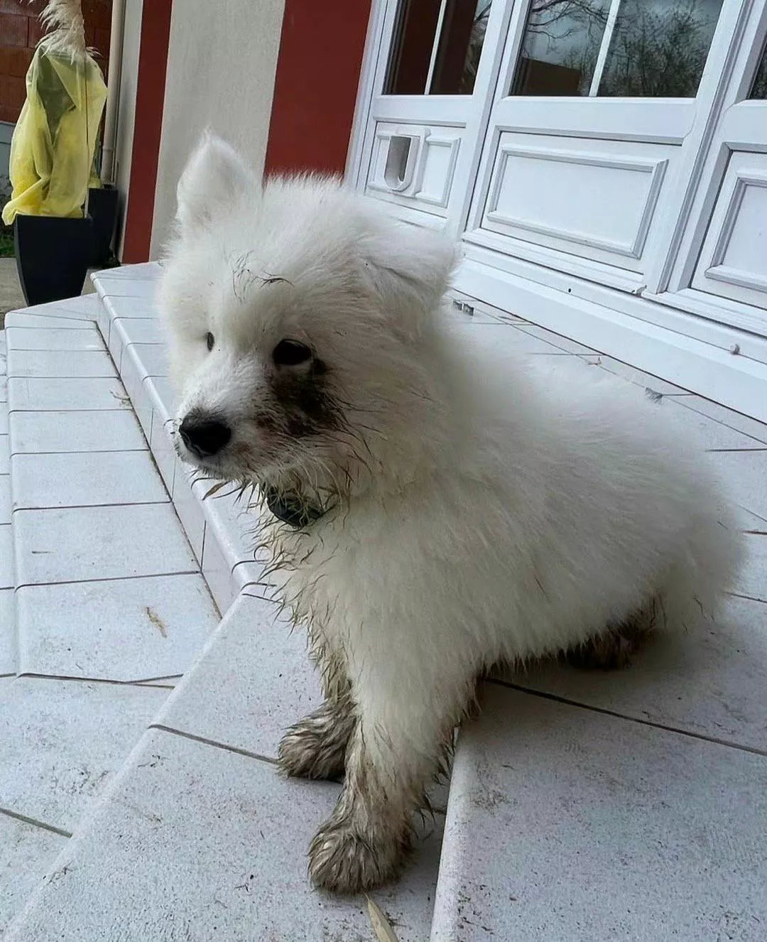 说出来你可能不相信，是泥巴先动的手