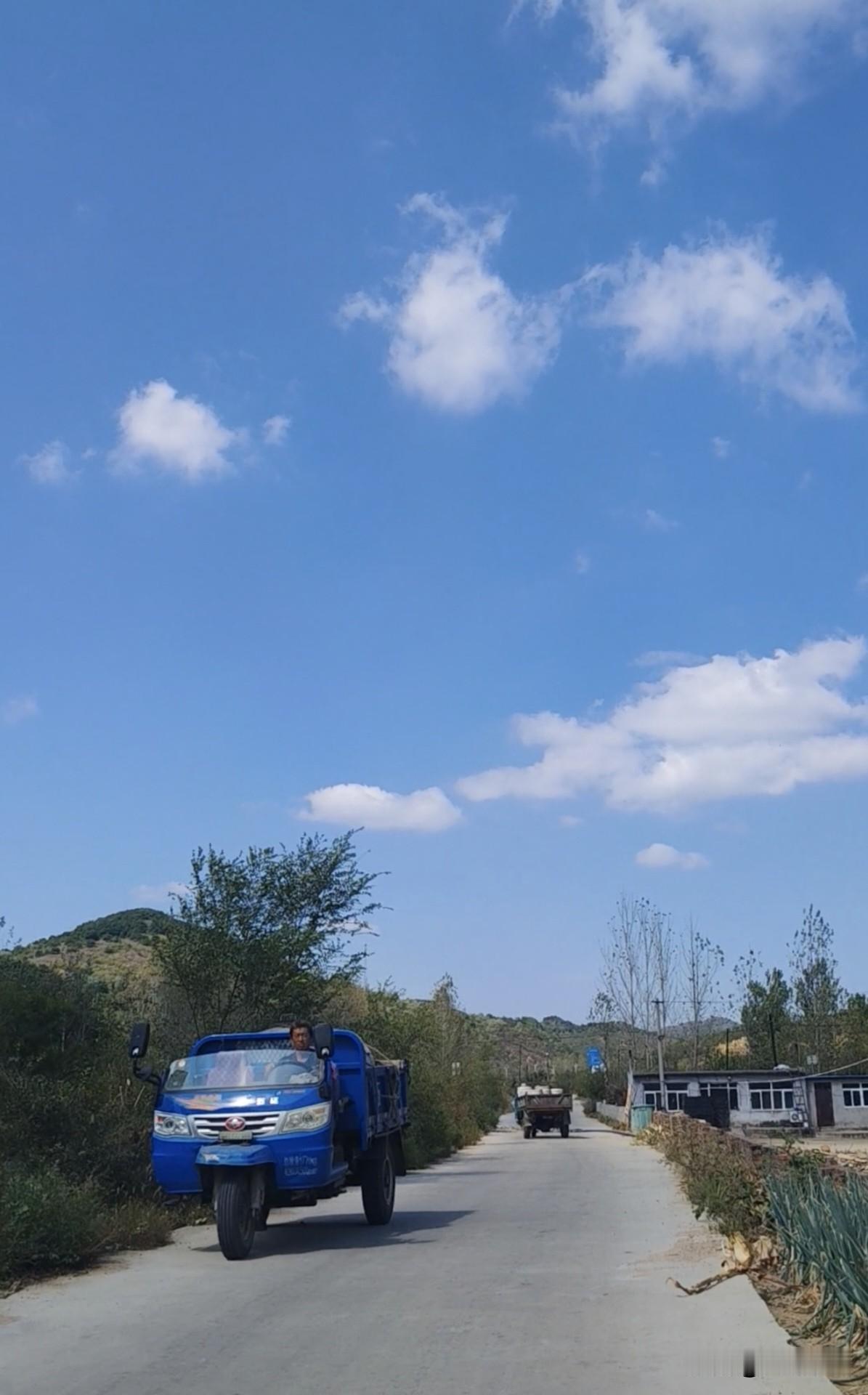 回家路上，看到很多乡亲都在拉水，干旱太久了，用桶拉水浇树，到底还能坚持多久？