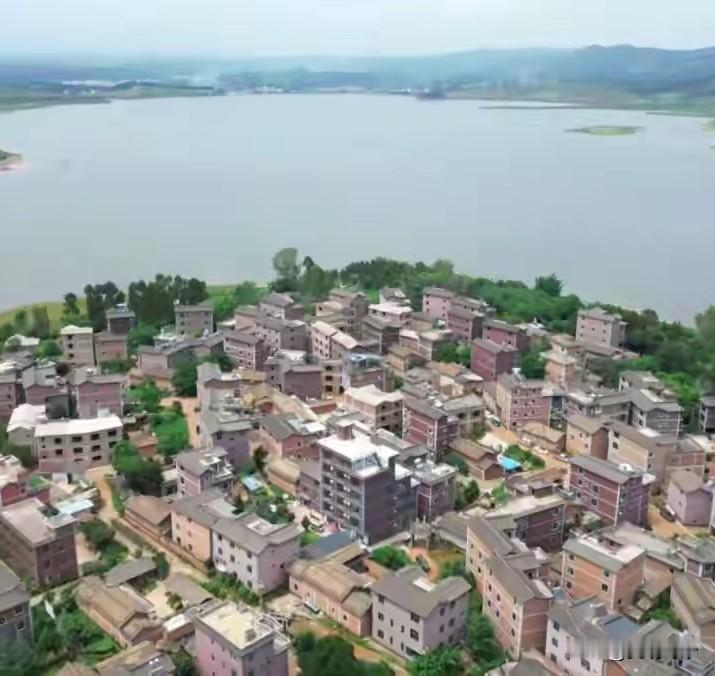 “买买三三”！云南弥勒的小太平村9个月创下6000万元收入！绿水青山真的变成了金