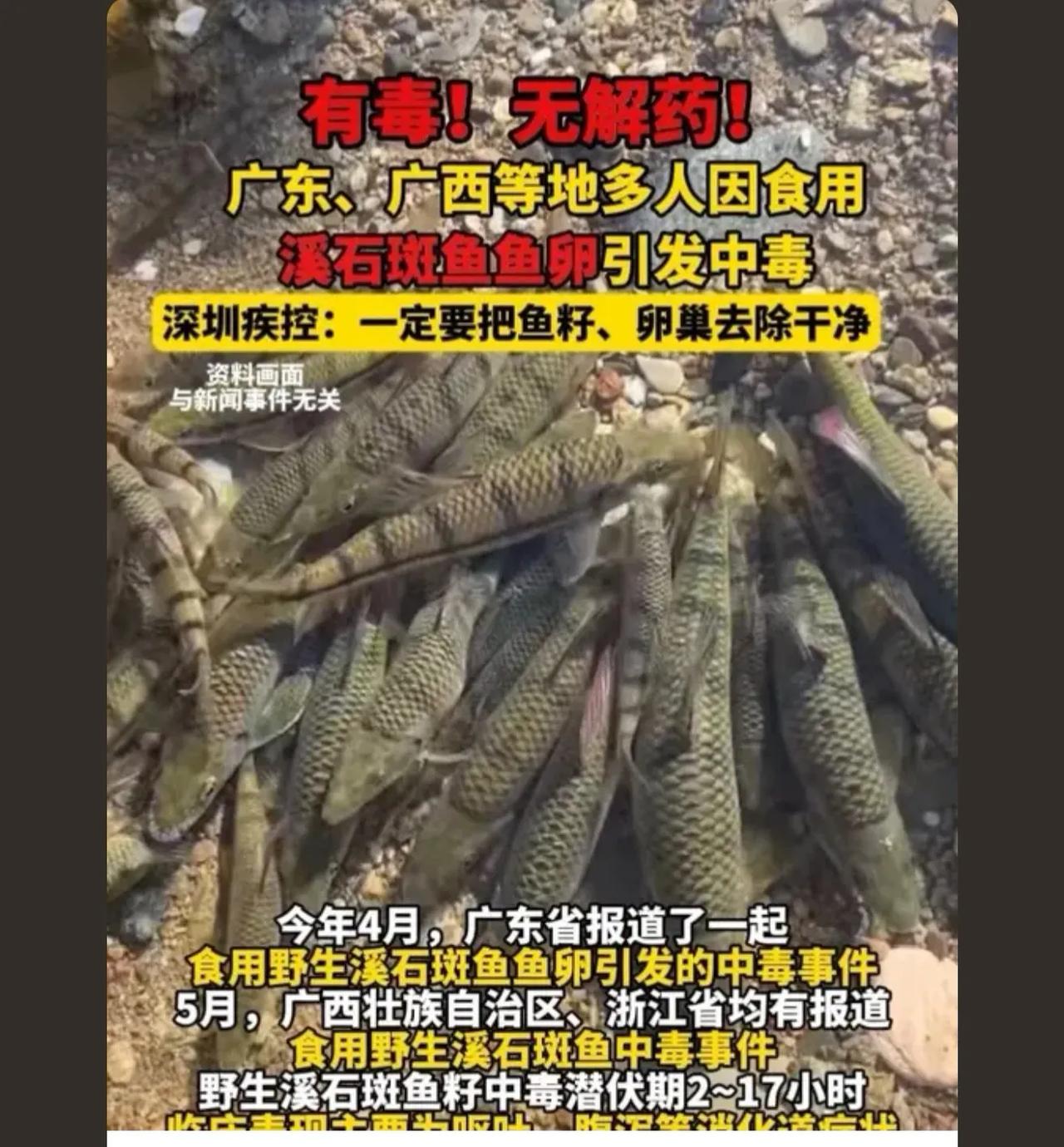 小时候和小伙伴把钓来的溪石斑煮来吃，我们两个人都中毒了，呕吐全身发冷，都一样的症