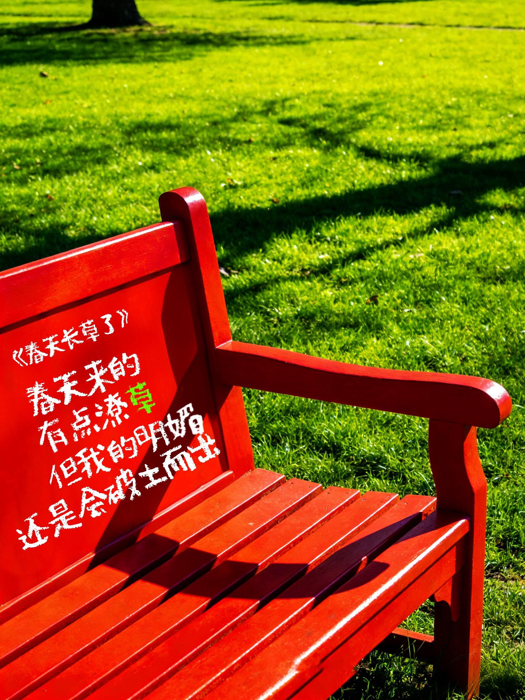 快乐这件事我要自留 