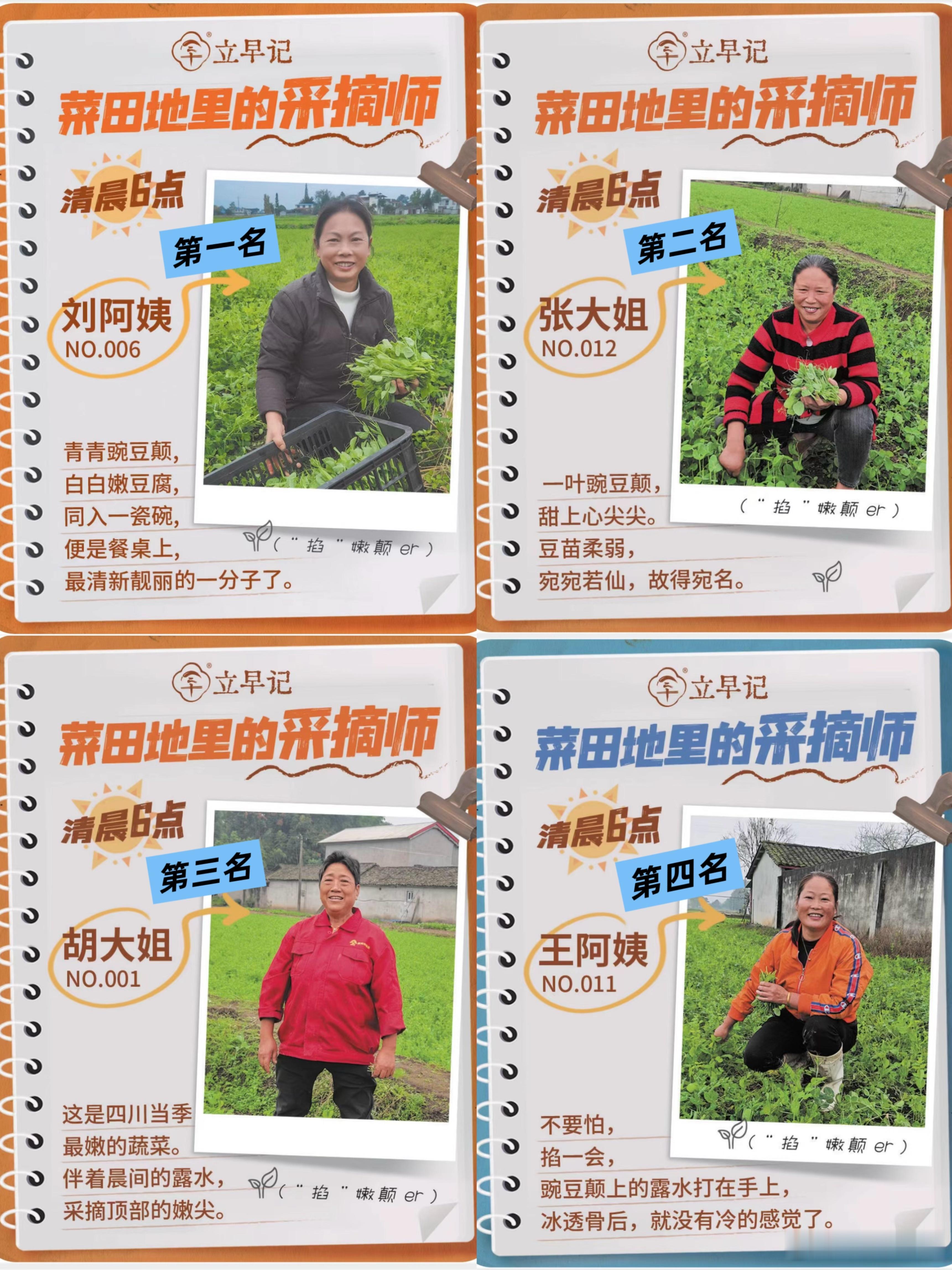 今年豌豆尖优秀采摘师们的第一笔奖励，已经发到大姐们的手上了。下面是目前评价最好的