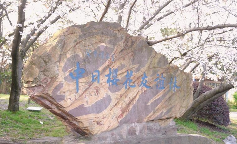 我国暂停中日地方友好活动，引起外界关注，日本深感遗憾。

3月20日，日本民间团