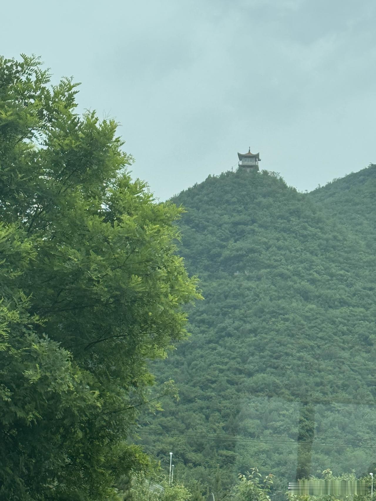 前段时间买的鸡蛋是6.9元一斤。
看着鸡蛋快吃完了，就去买鸡蛋，不能因为鸡蛋贵就