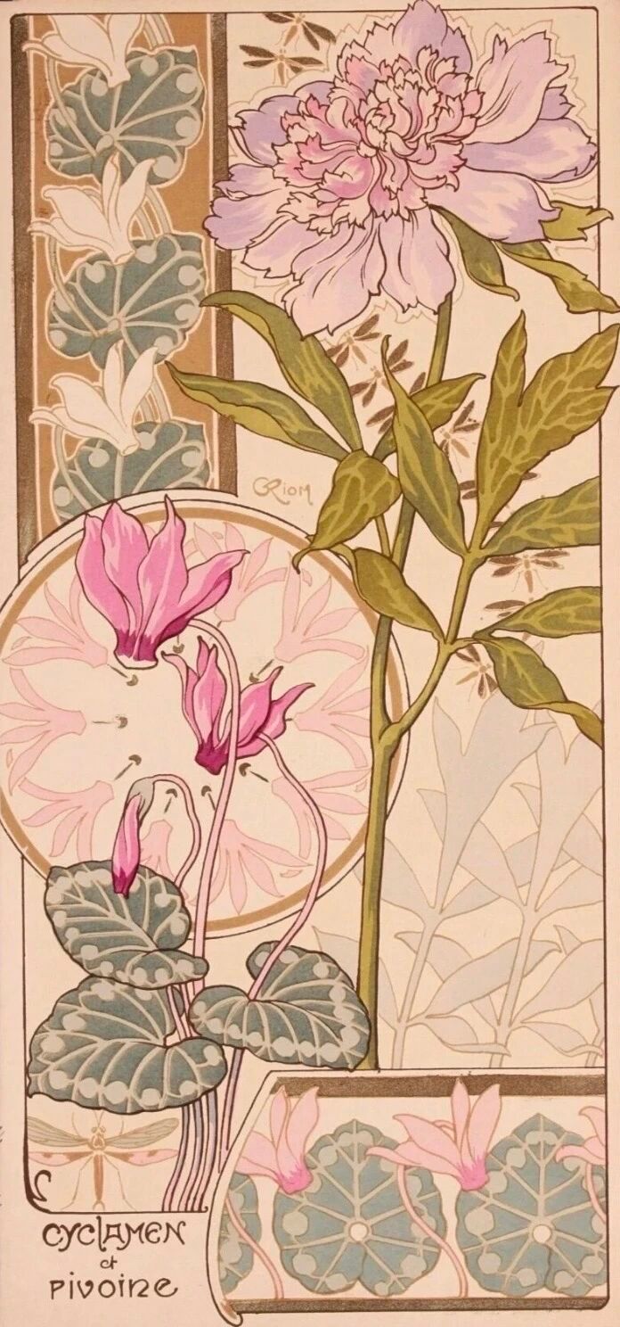 Georges Riom的花🌸 