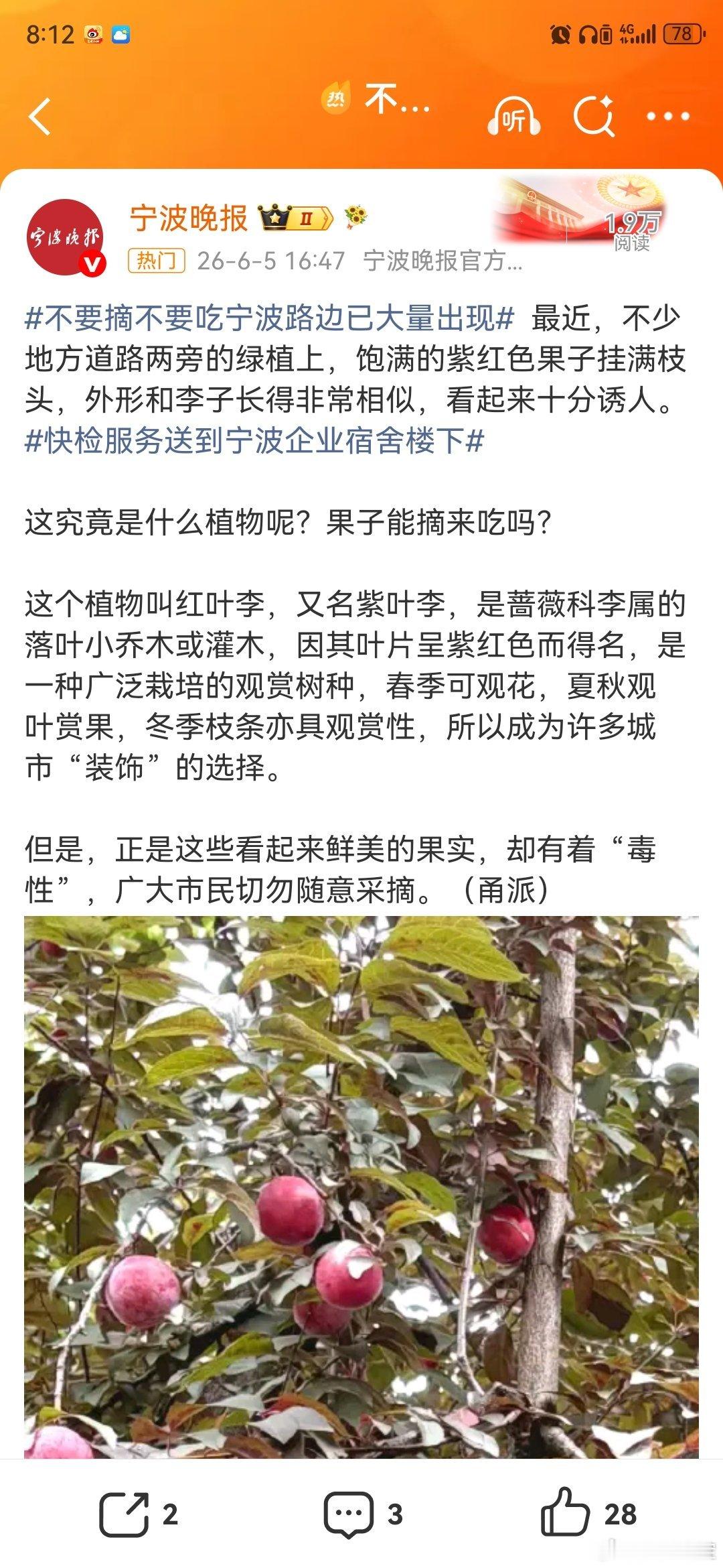 不要摘不要吃宁波路边已大量出现最近，宁波不少地方道路两旁的绿植上，饱满的紫红色果