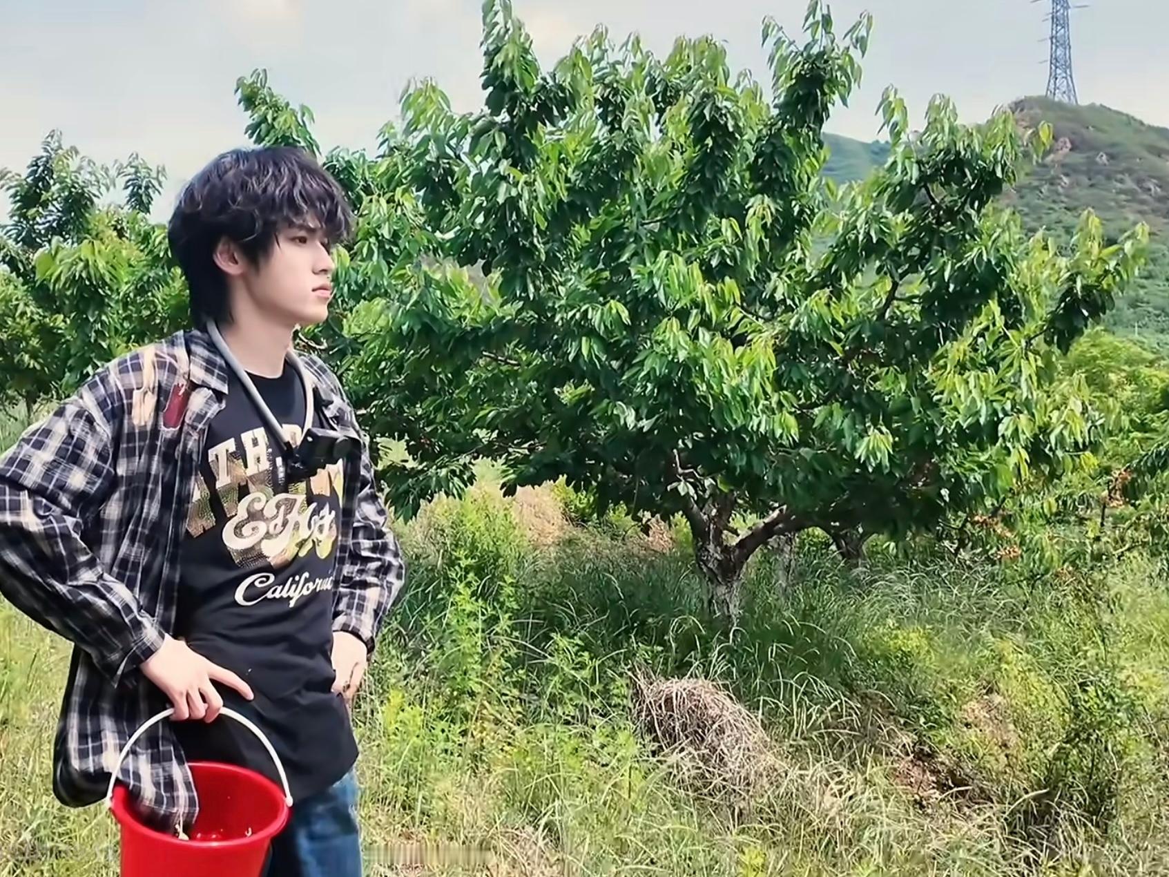 在希望的田野上 