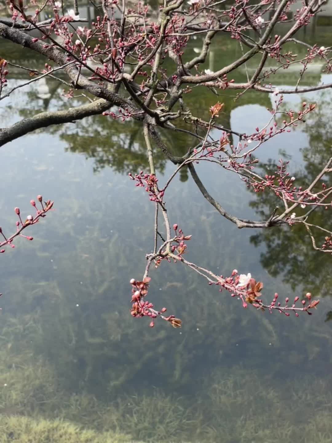 借钱给别人，借急不借穷，而且真正肯按时还钱的不需要你催，一旦你催了，这...