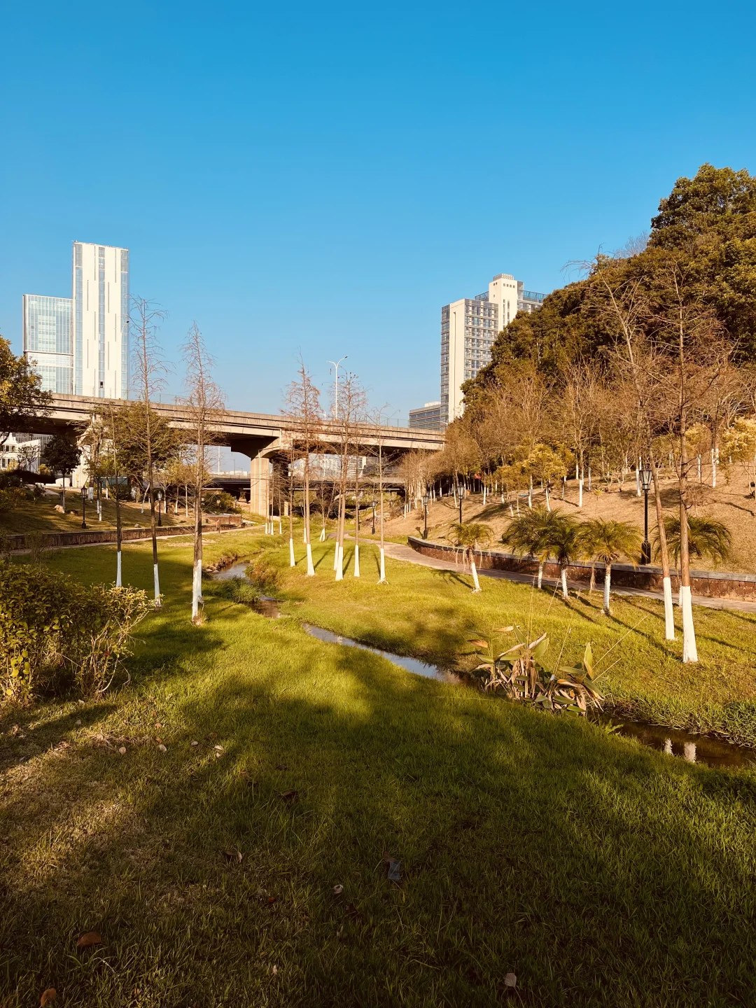 在广州的“阿勒泰”一脚踩进沼泽地！