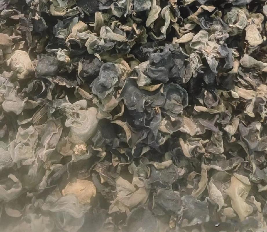 南方人跟北方人买东西绝对不一样……
就拿挑木耳这件事来说，​有一次在老家一个永辉