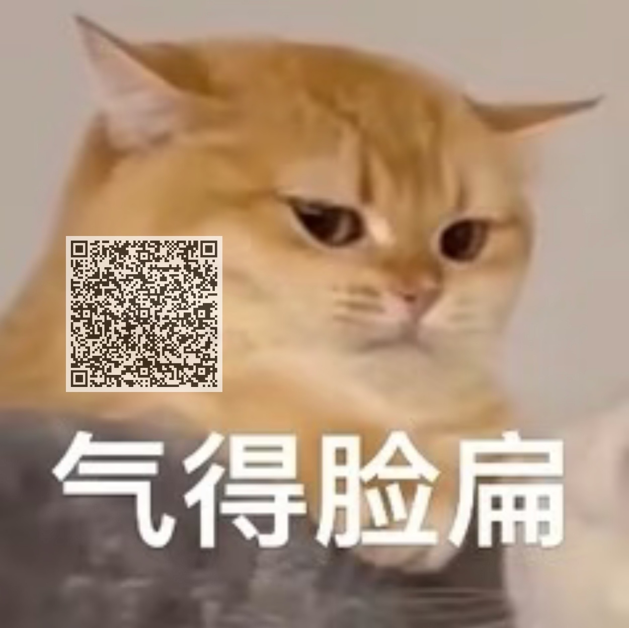 🍊基手上线送走图1zybl，图2yzhs💐plq 