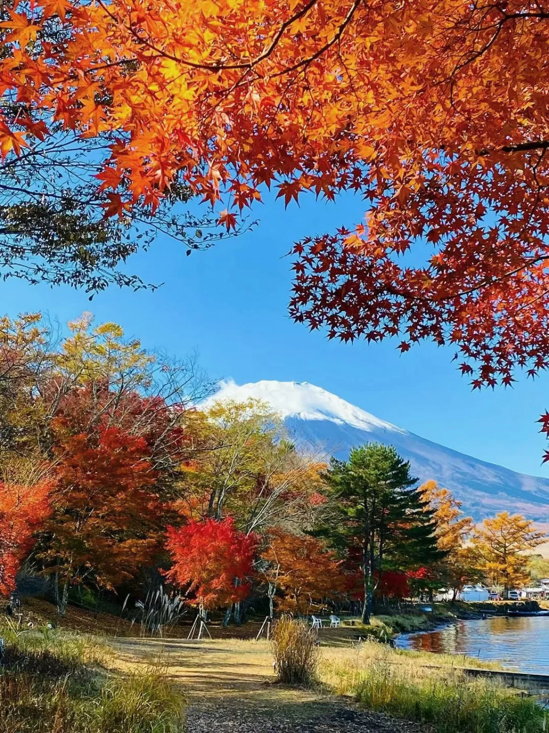 富士山红叶季一日游🍁小众赏枫地全攻略✅