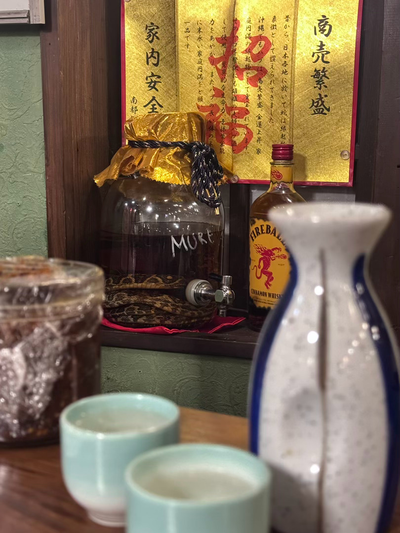 在一家破破烂烂的小居酒屋里看到了泡🐍的酒，且不是摆设是真的在售。摆明了要坑一下