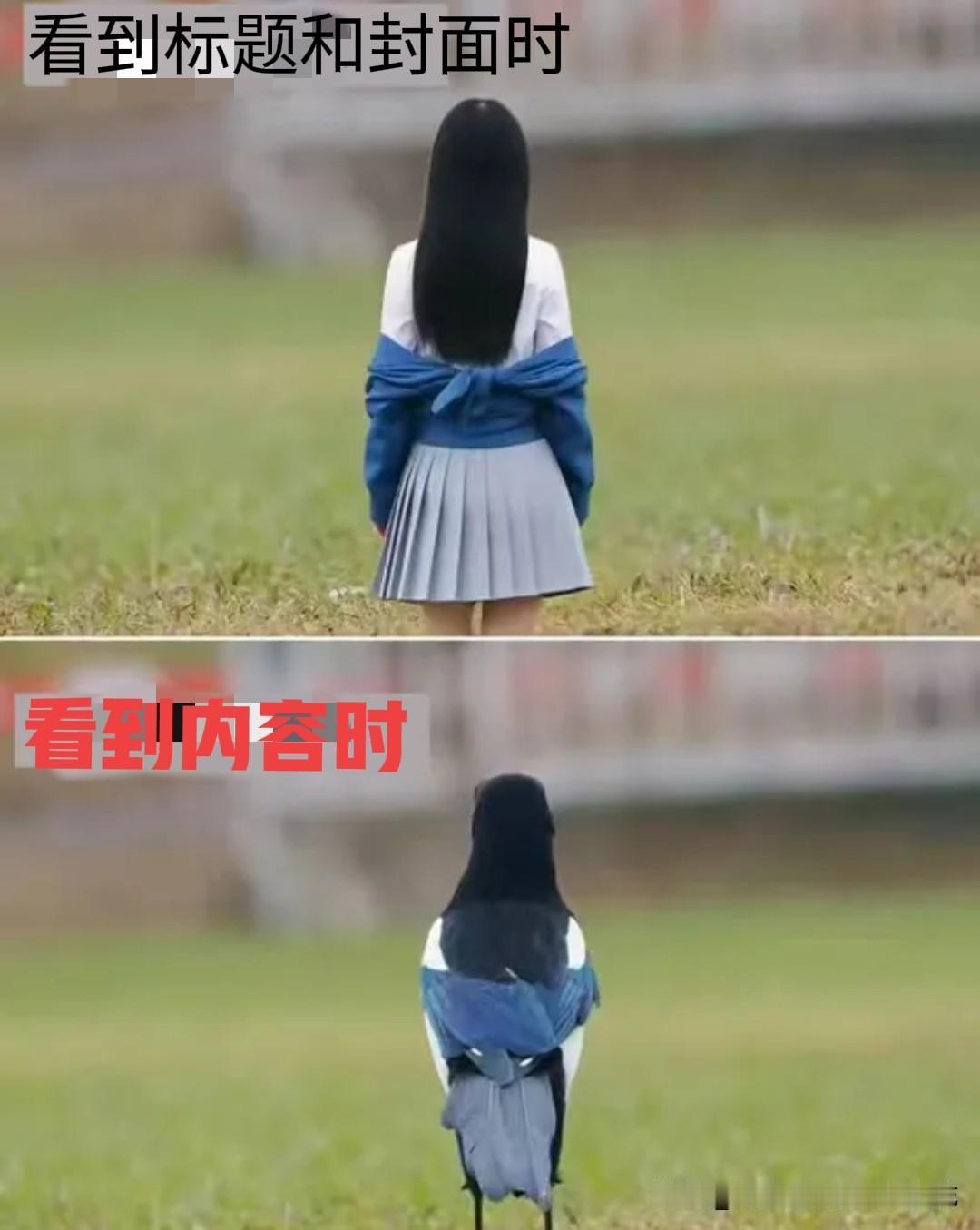 精选官是干嘛的？不是让你打分刷积分的，也不是给你特权让你嘚瑟的，而是考验你的品味