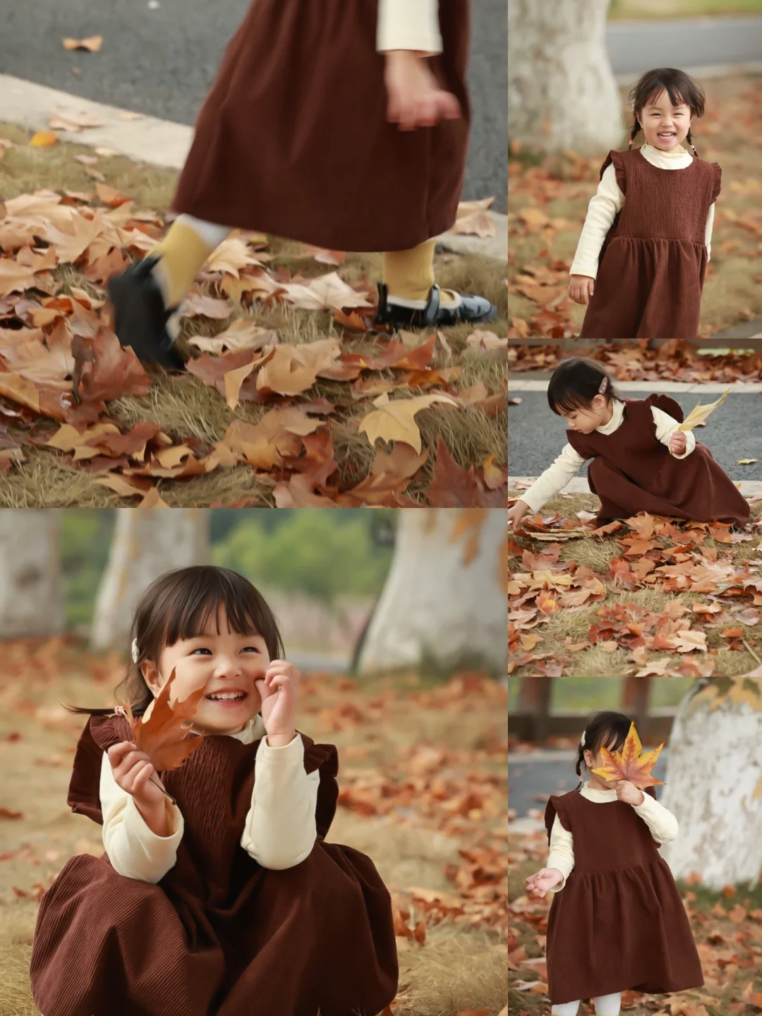 公园赏秋情报站｜沉浸式亲子游｜秋天文案分享