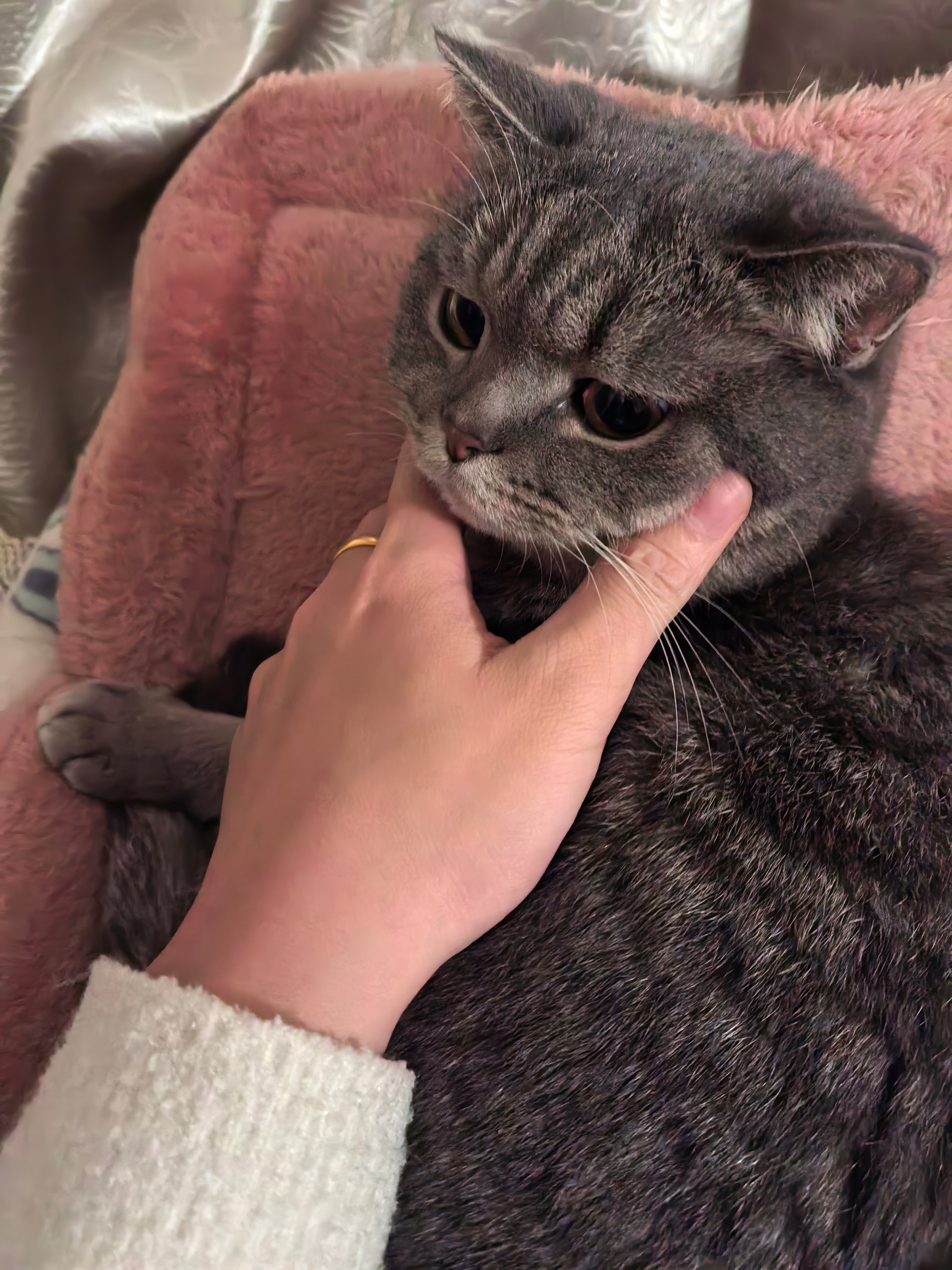 2021年我刚养猫，过年的时候把猫带回了老家，我姑说来看一下我的猫，我们俩就在大