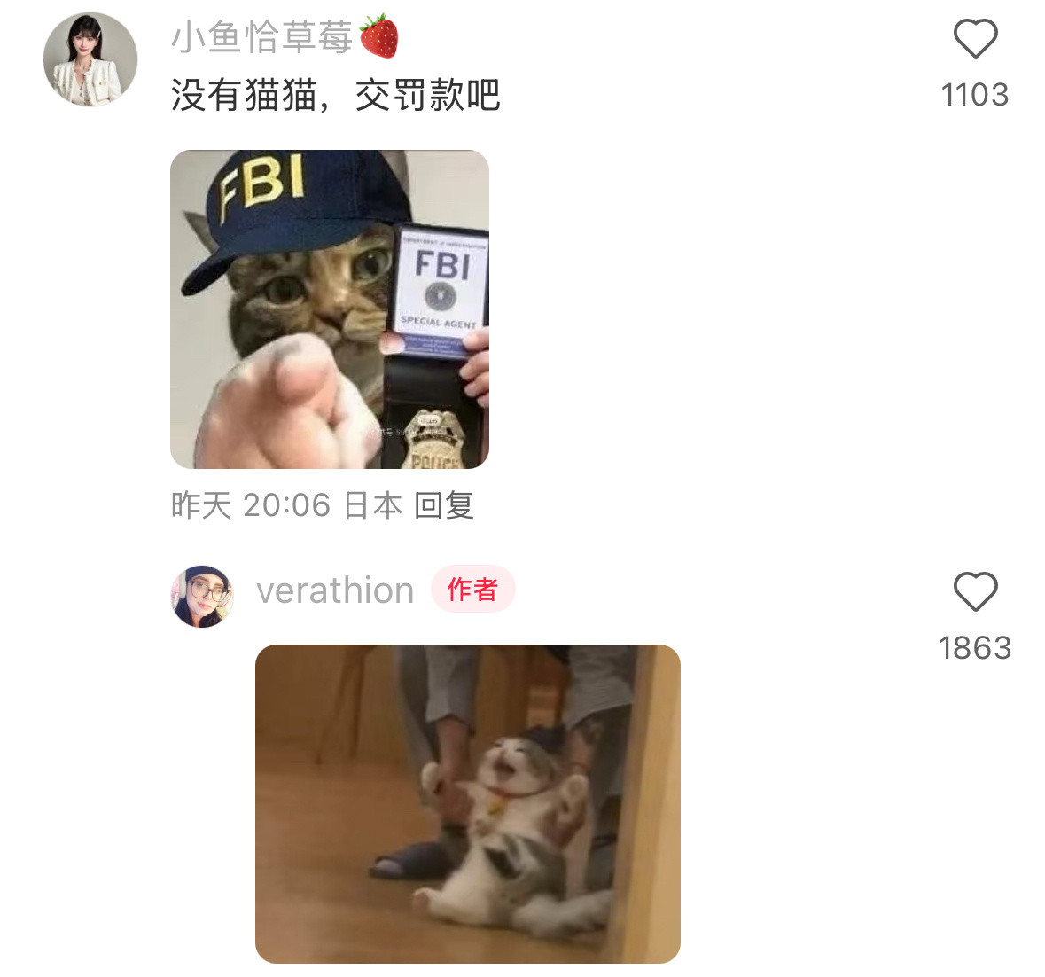 美国网友涌入小红书交猫税 没想到老美们还融合的很快[允悲]抽象到一起去了 