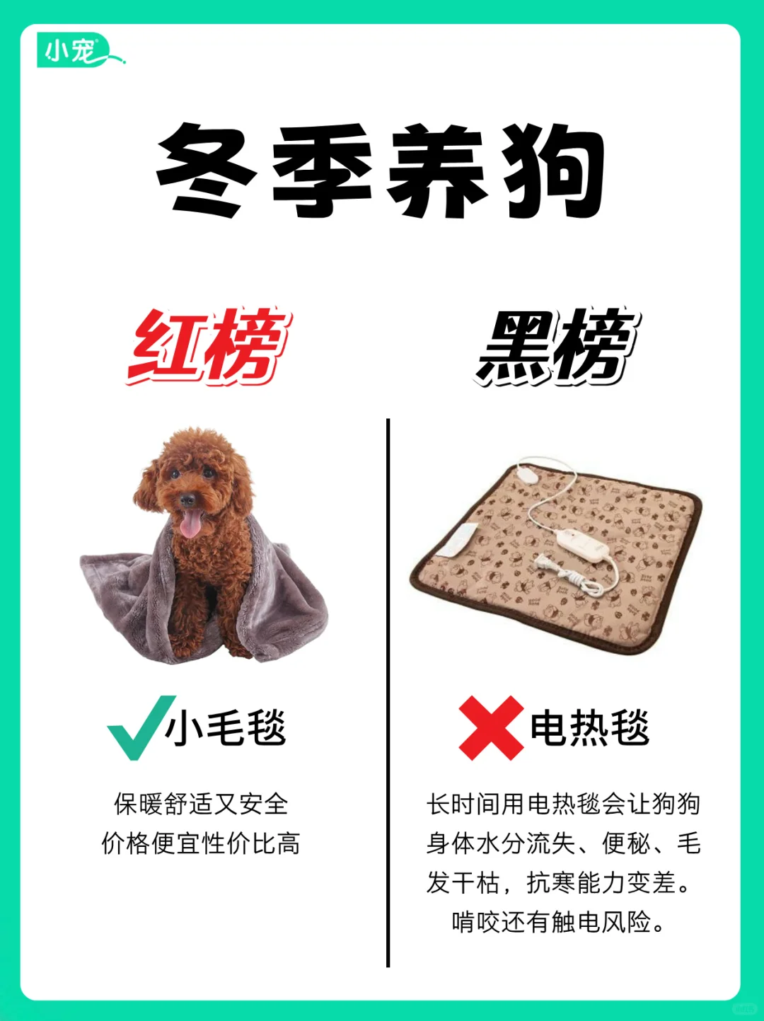 冬季养狗必修课！红榜Vs黑榜