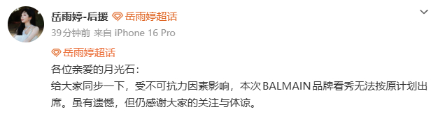 岳雨婷将缺席品牌看秀岳雨婷无法出席时装周 诶，岳雨婷后援会发文，受不可抗力因素影