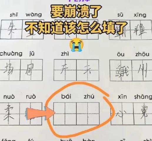 二年级拼音填空难住我，以前语文好有什么用
作业页面圈出拼音bái zhú。两道横