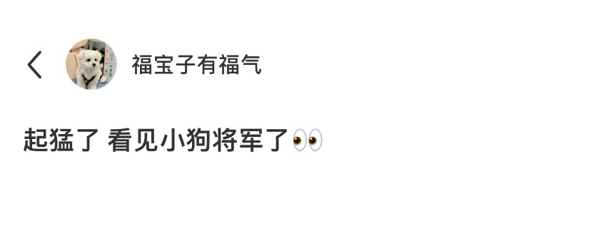 起猛了，看见小狗将军了[开学季] ​​​