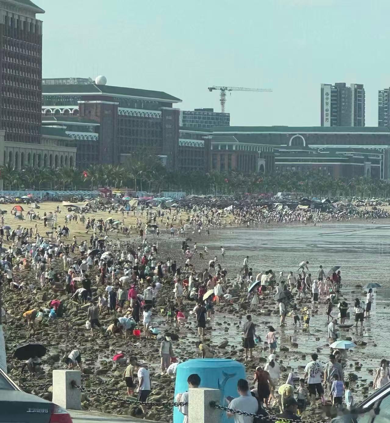 五一青岛杀没杀疯我不知道 请大家看下珠海唐家的海滩吧 游人停的车已经占领了满满两
