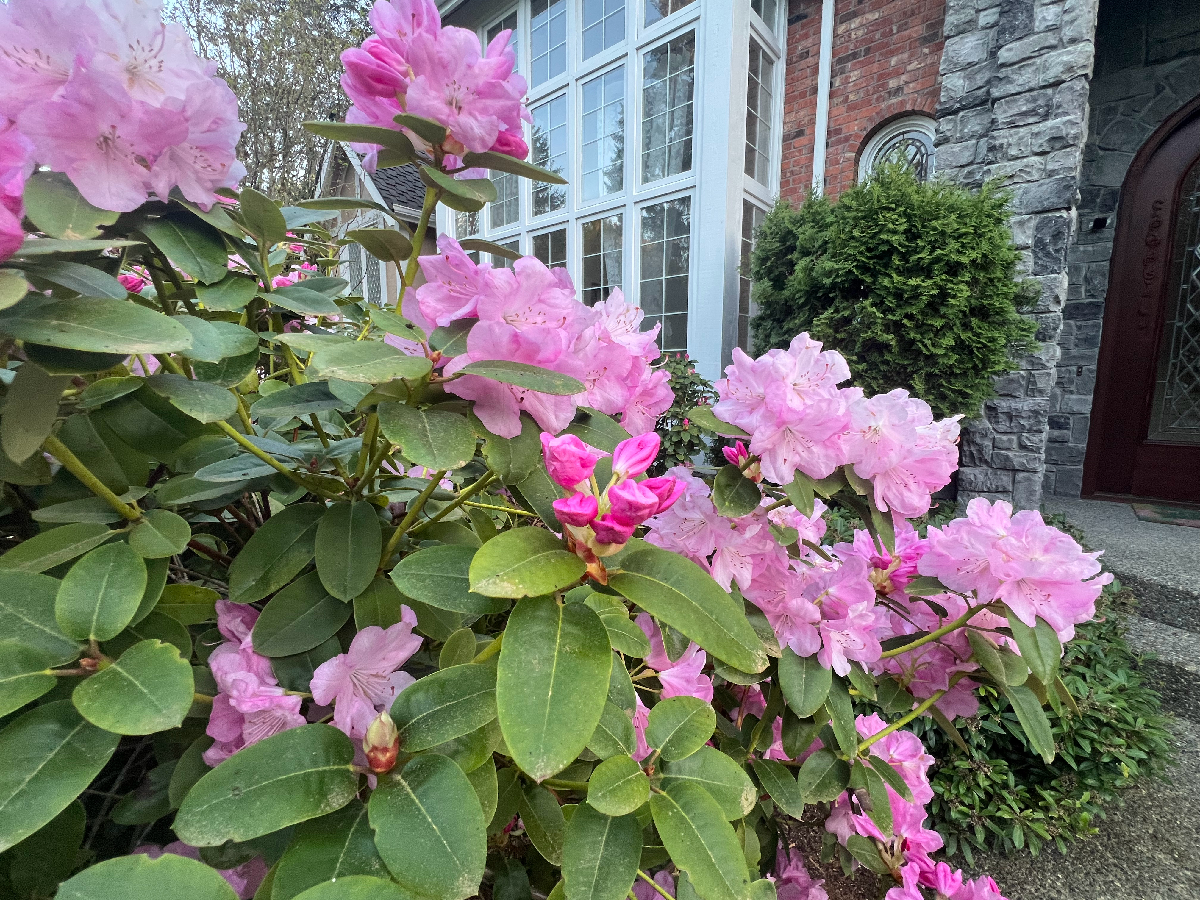 我不是前阵子因为说了几句欧洲创新的问题，被一个欧洲博主攻击了吗？那我今天还是想继