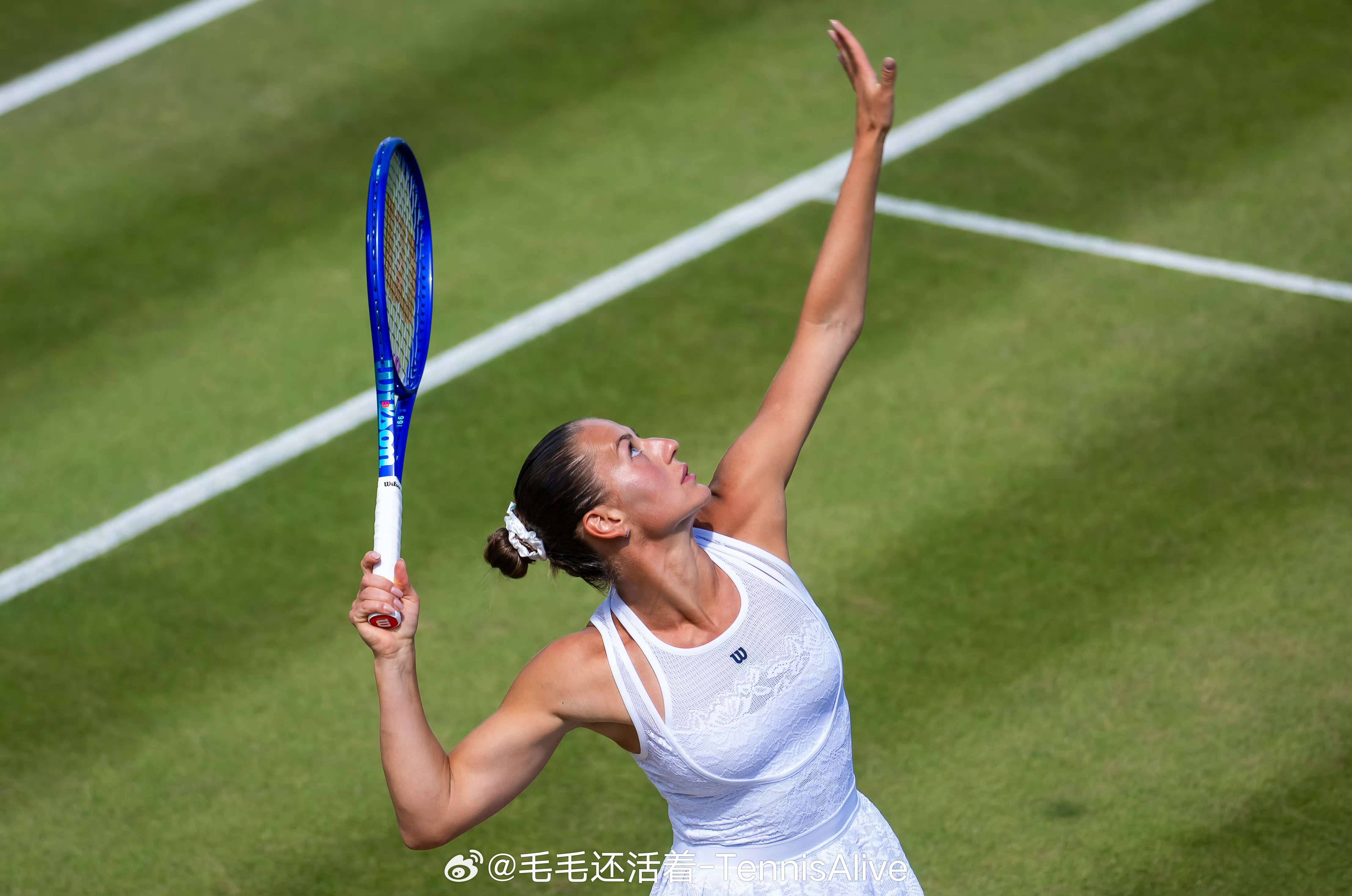 【温网2026 女单八强对阵】【14】大坂直美vs穆霍娃【10】【4】佩古拉vs