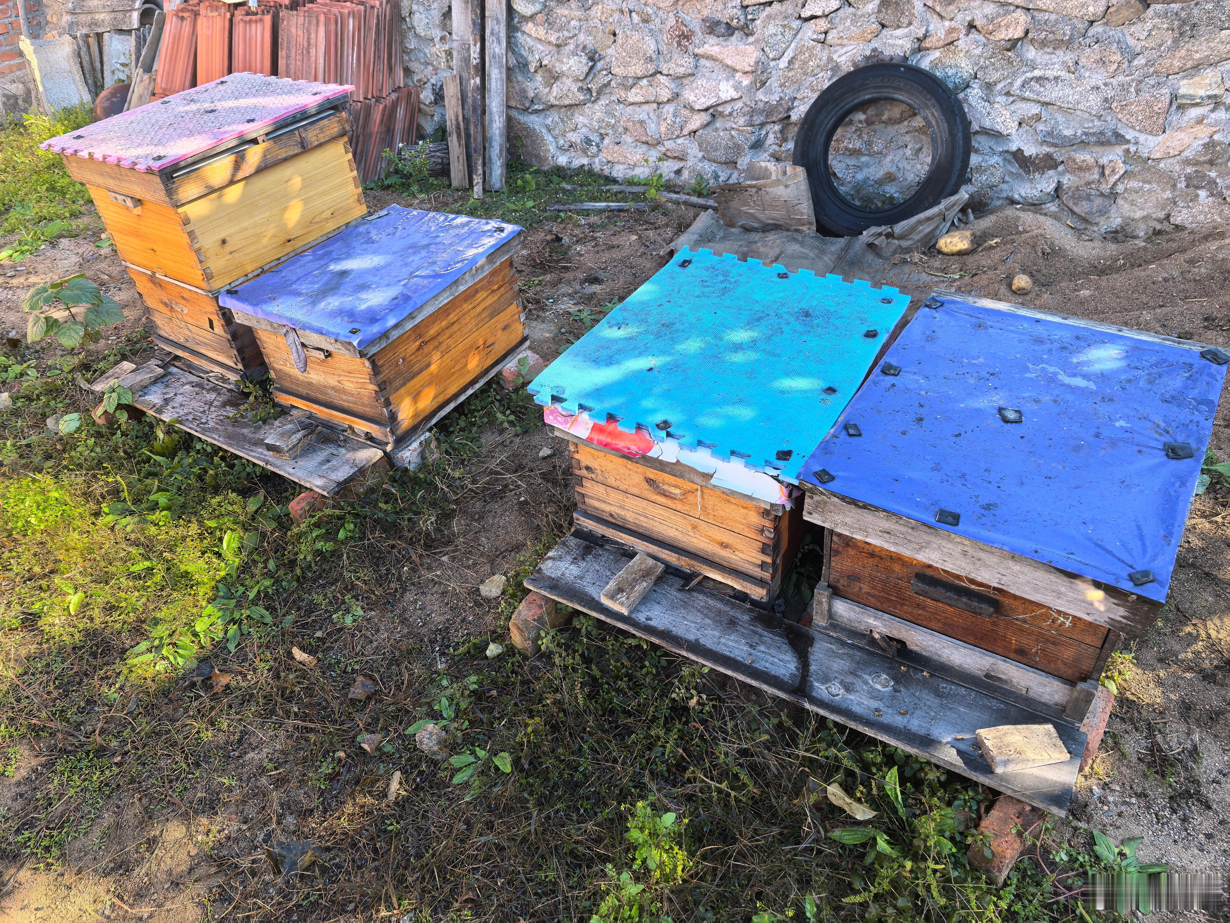 猜猜这是啥 ​​​