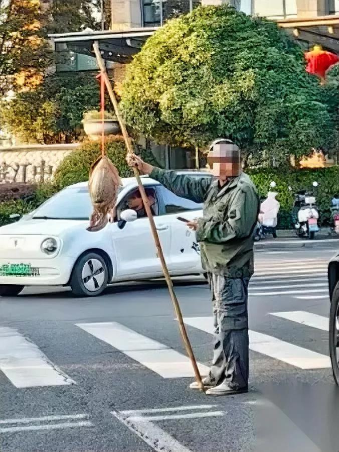 路边卖大王八的人

问价总说不卖

我蹲了两天才搞懂，这伙人根本不是真来卖野味的