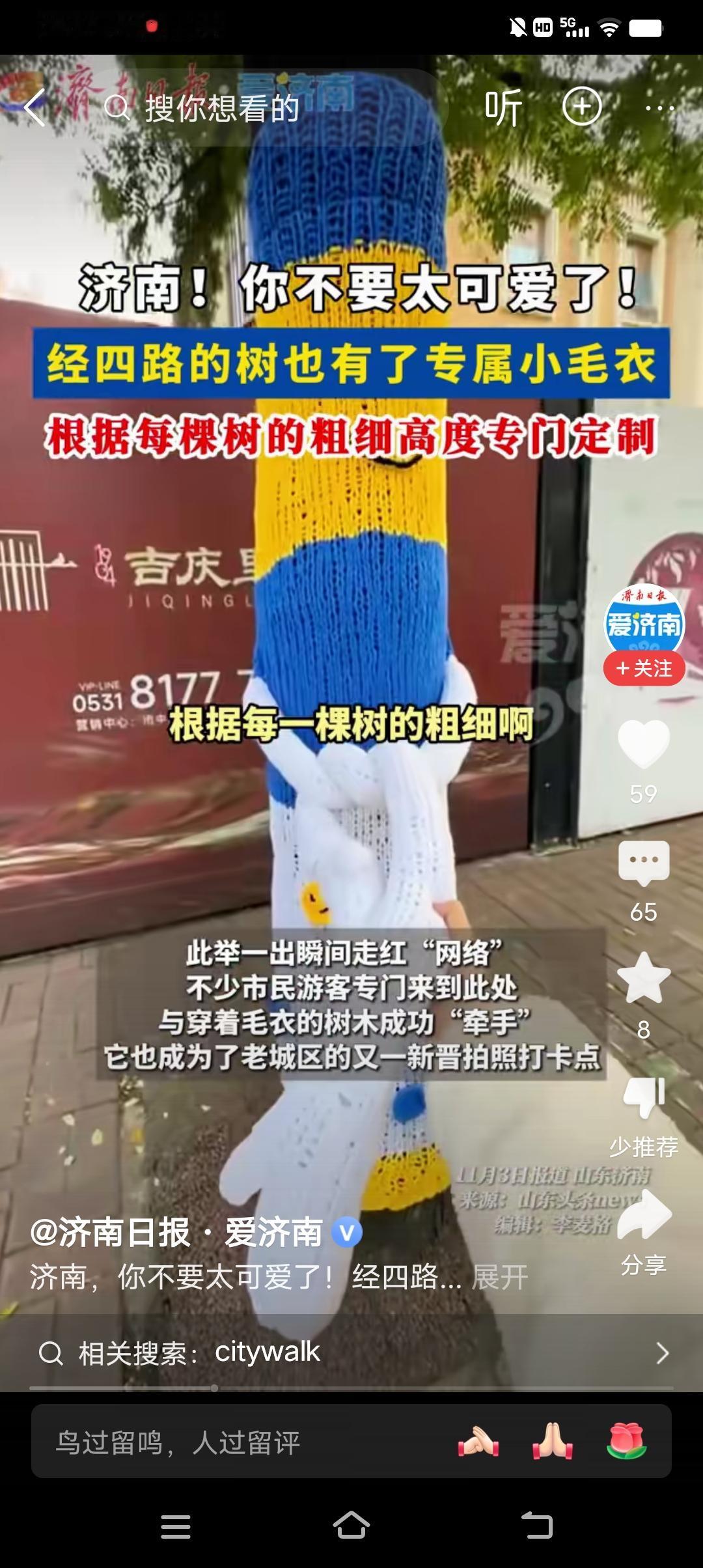 天冷了，济南的树又开始穿毛衣了，萌萌的，很可爱。记得以前日照的树也穿过毛衣，不知