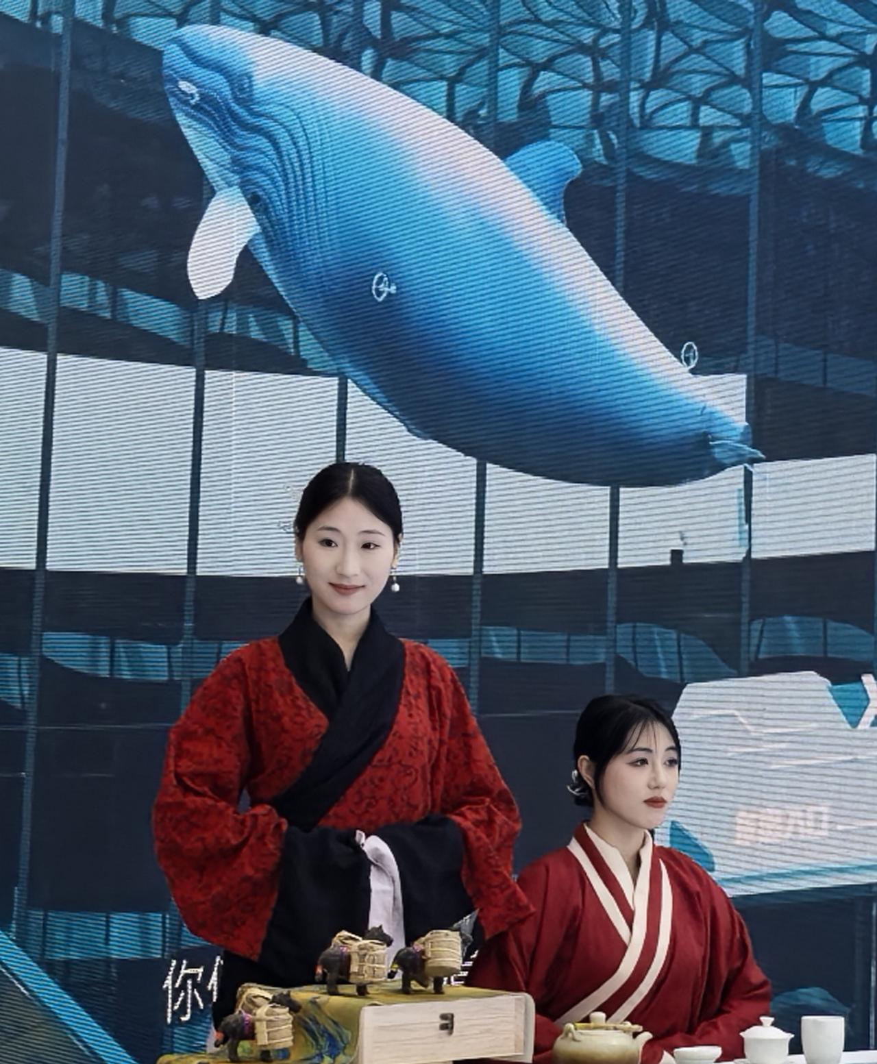 现实撞见了“山海经”，穿汉服的神仙姐姐与蓝鲸同框，我相信神仙真的存在。