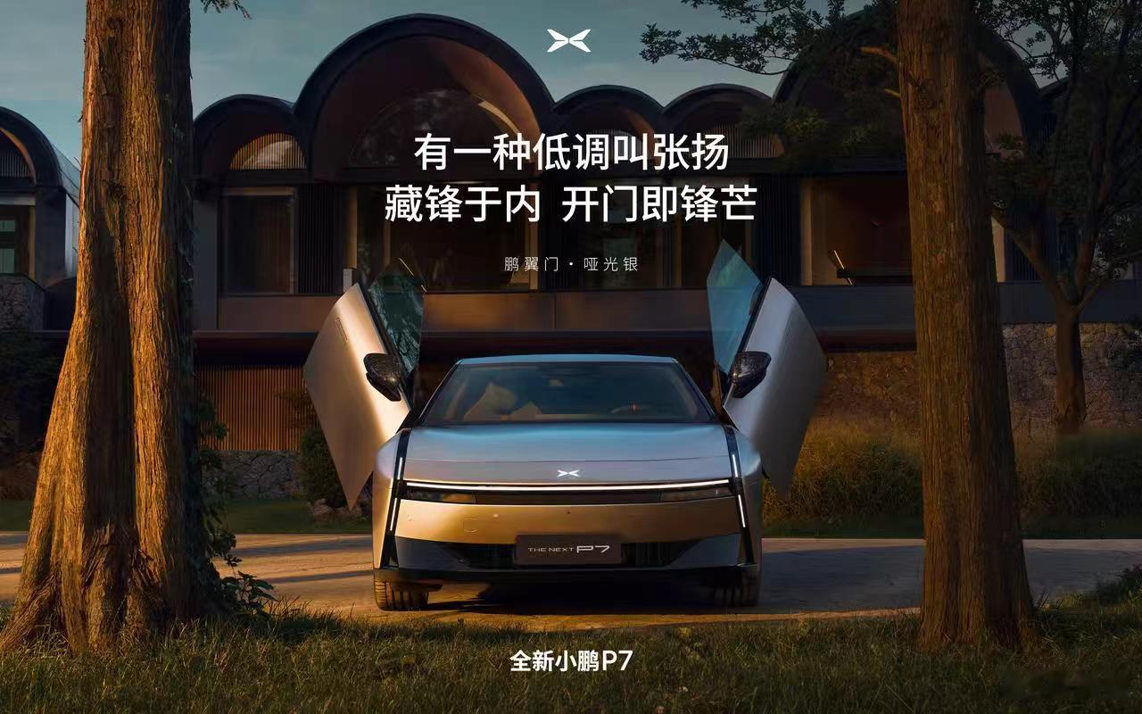 别问鸥翼版出了谁买，太贵。好不好卖先放一边，关键是要有，帅就得了。现在提起带鸥翼