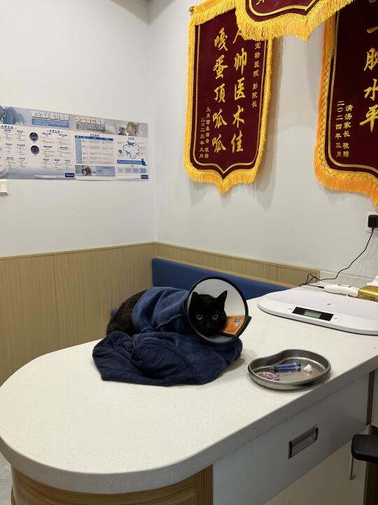 太害怕体检以至于一动不动