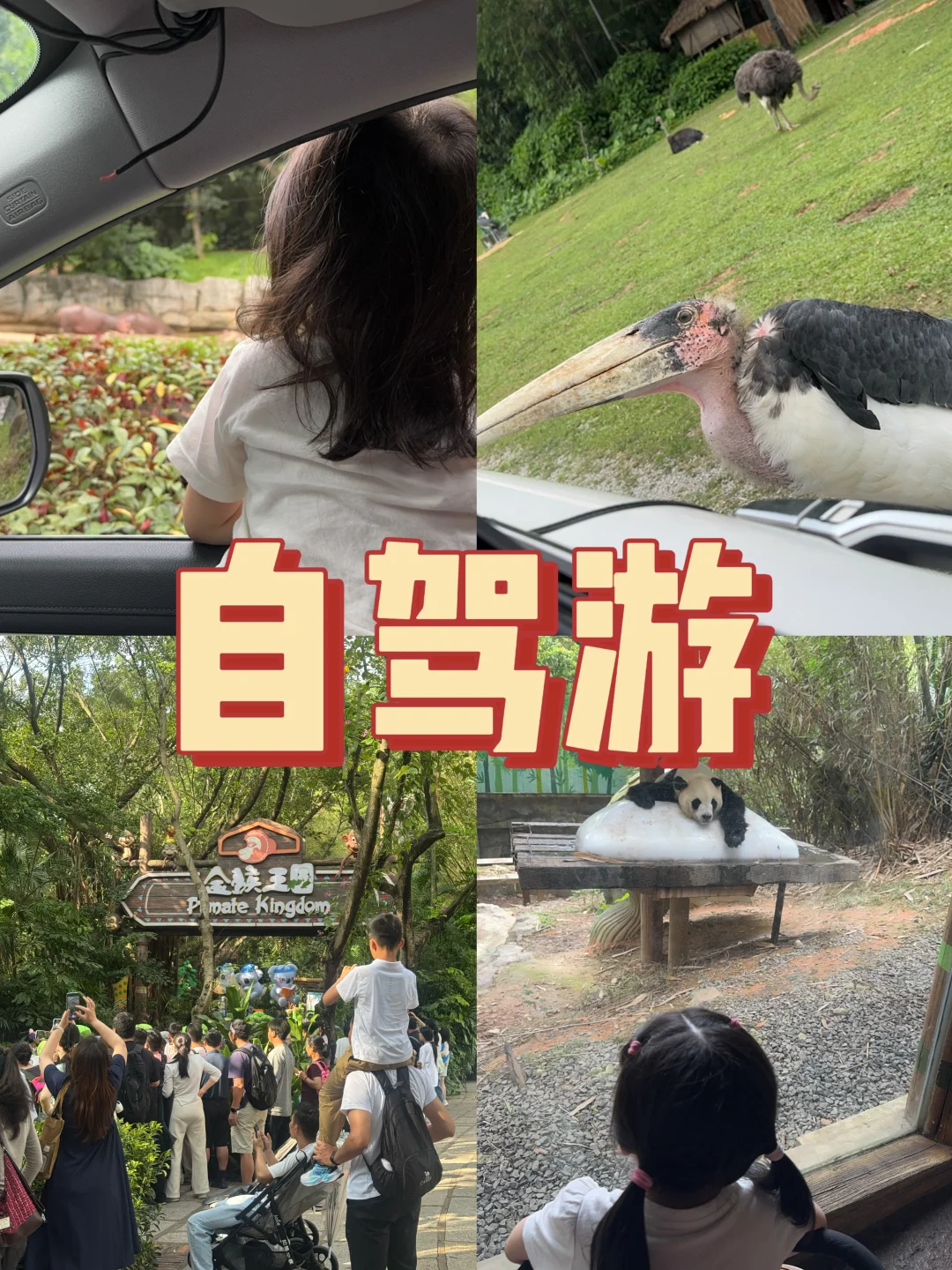 5月4日长隆自驾游