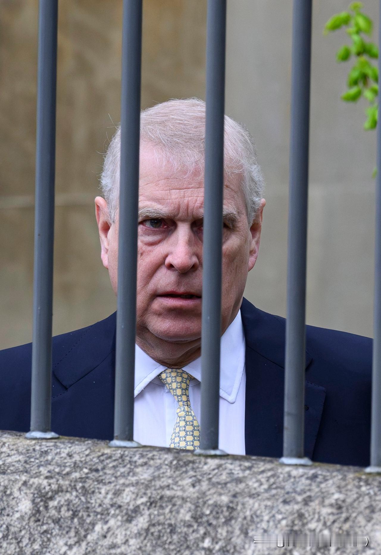 这个标题有点牵强！前安德鲁王子已被警方逮捕！查尔斯国王还是明智，已经完全和弟弟做