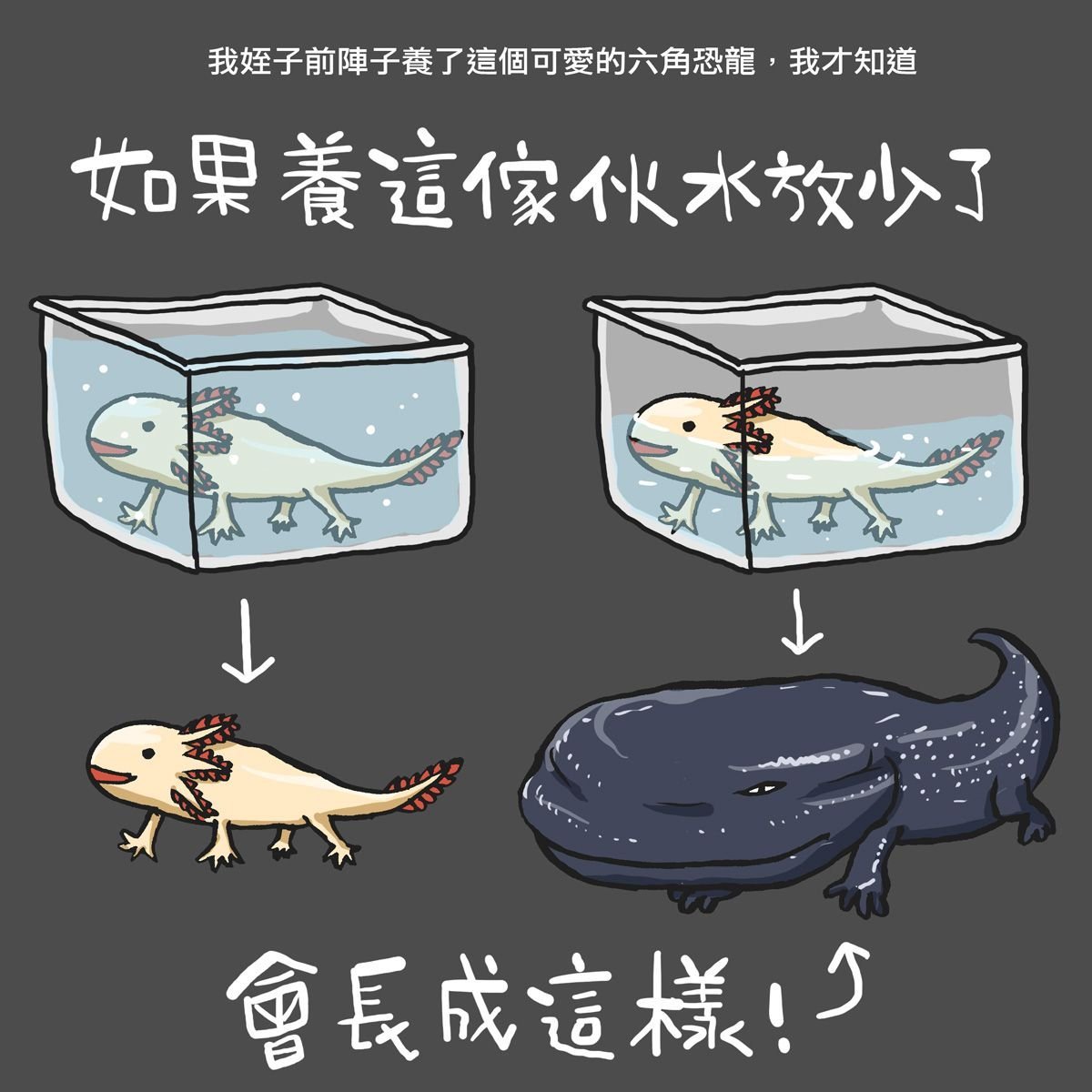 还真给我学到了💡meme