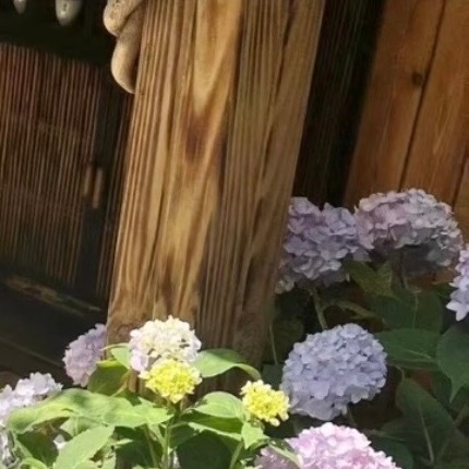 生活不是用来妥协的，你退缩得越多，能让你喘息的空间就越有限。日子不是用来将就的，