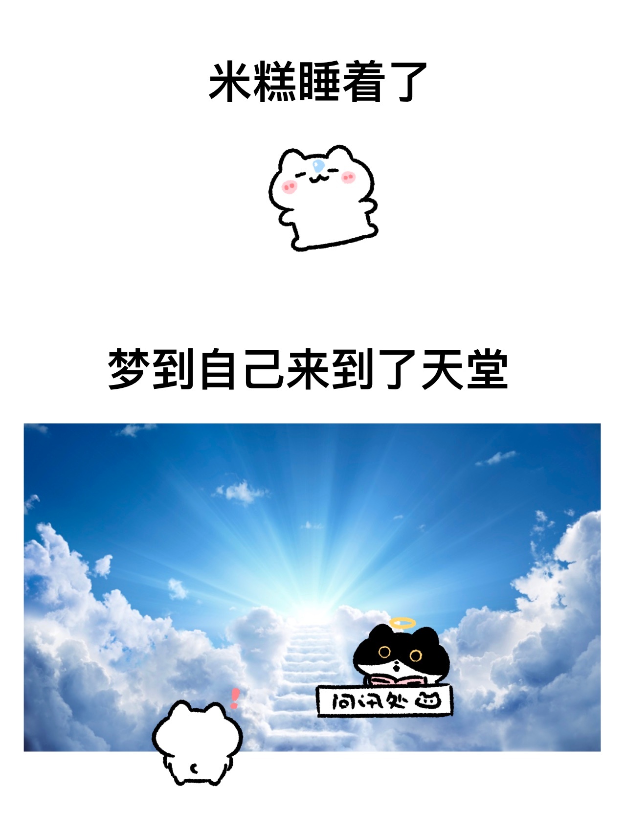 谁家好猫做这种梦啊。。。。 ​​​