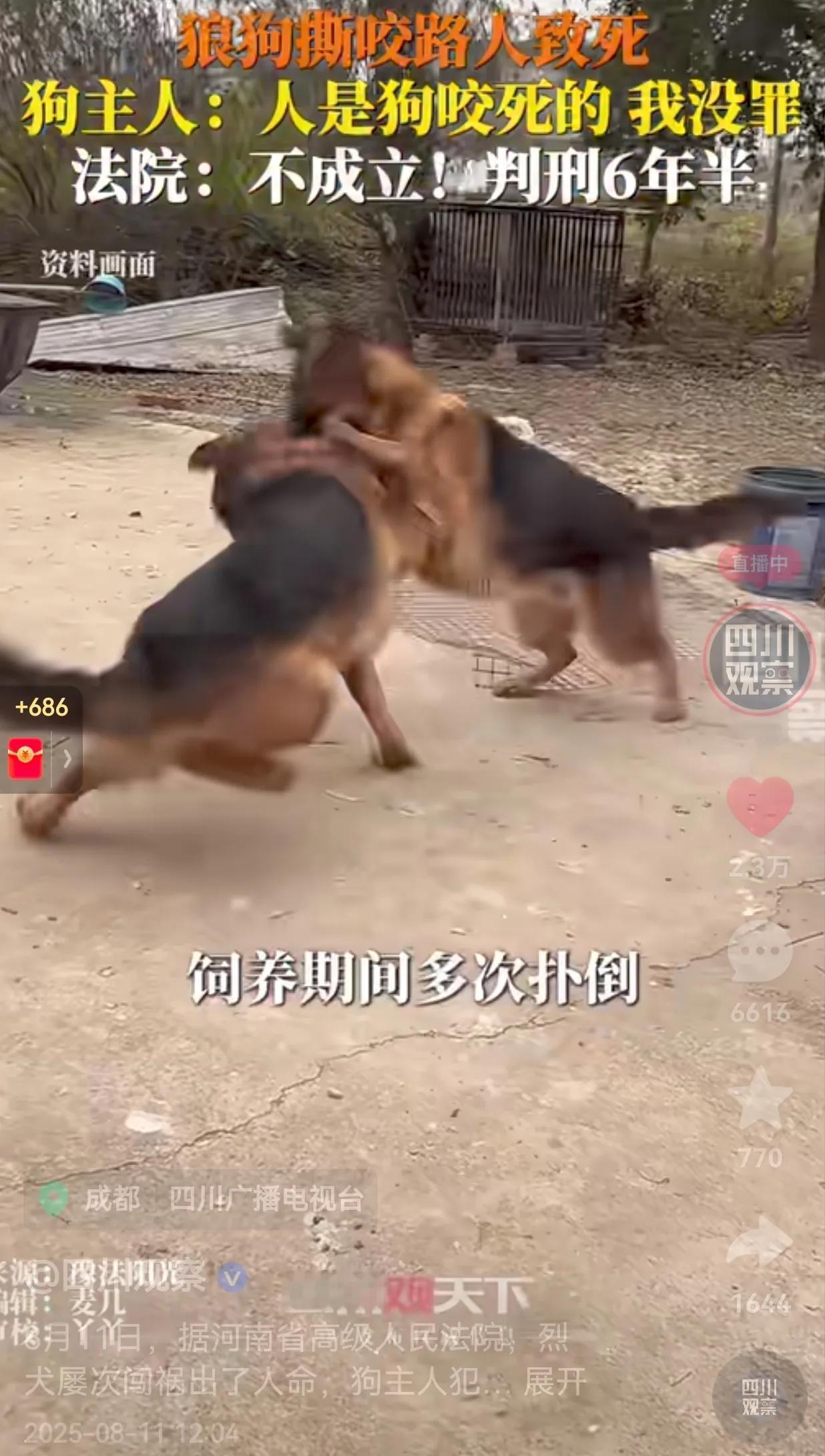 真的是大快人心！烈性犬撕咬路人致死，狗主人为了逃避责任，竟然辩称，人是狗咬死的，