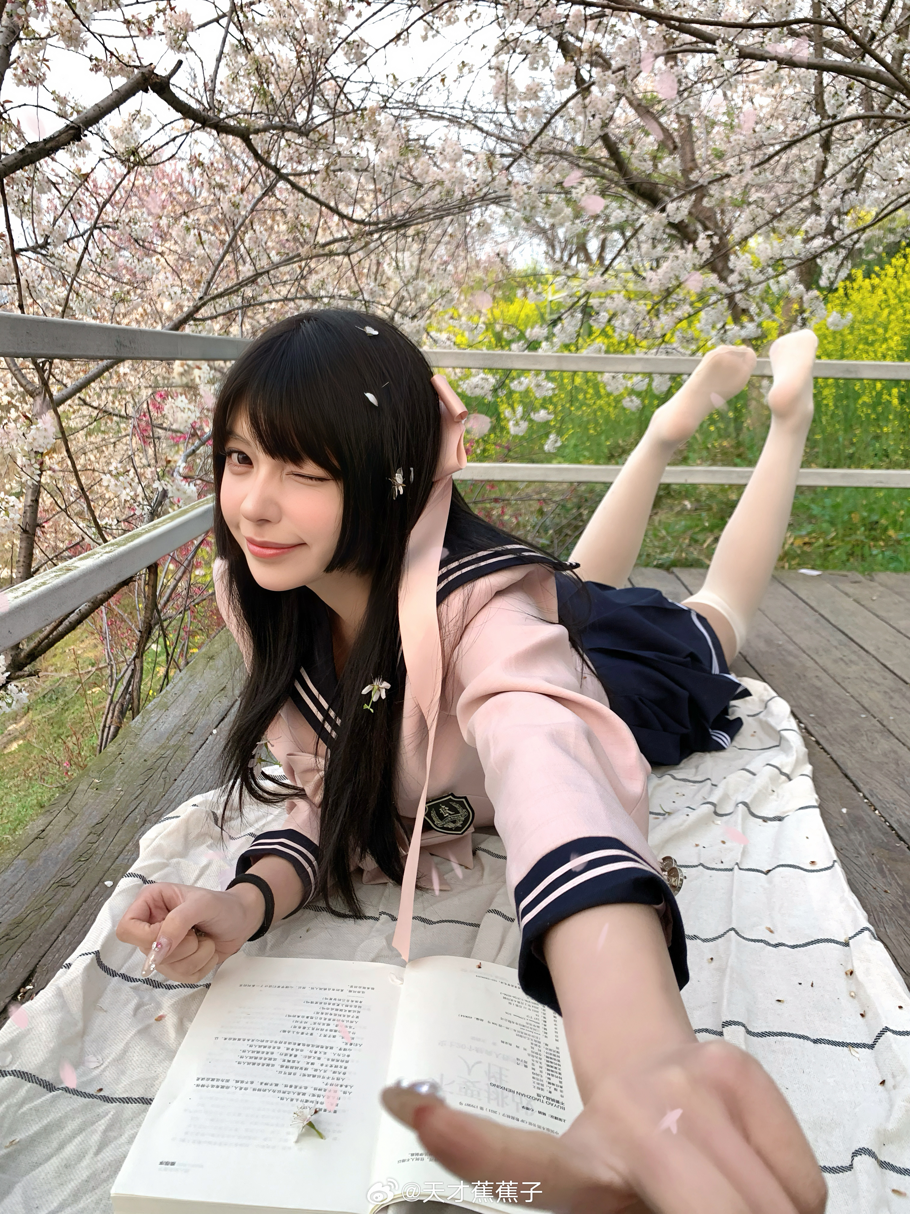 樱花的花语是爱和礼赞🌸 