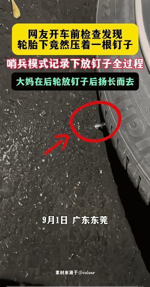 骑电动车的另外两个人，若是和她一起的，可能比她还孬。你信不！
这情景，不知是天刚