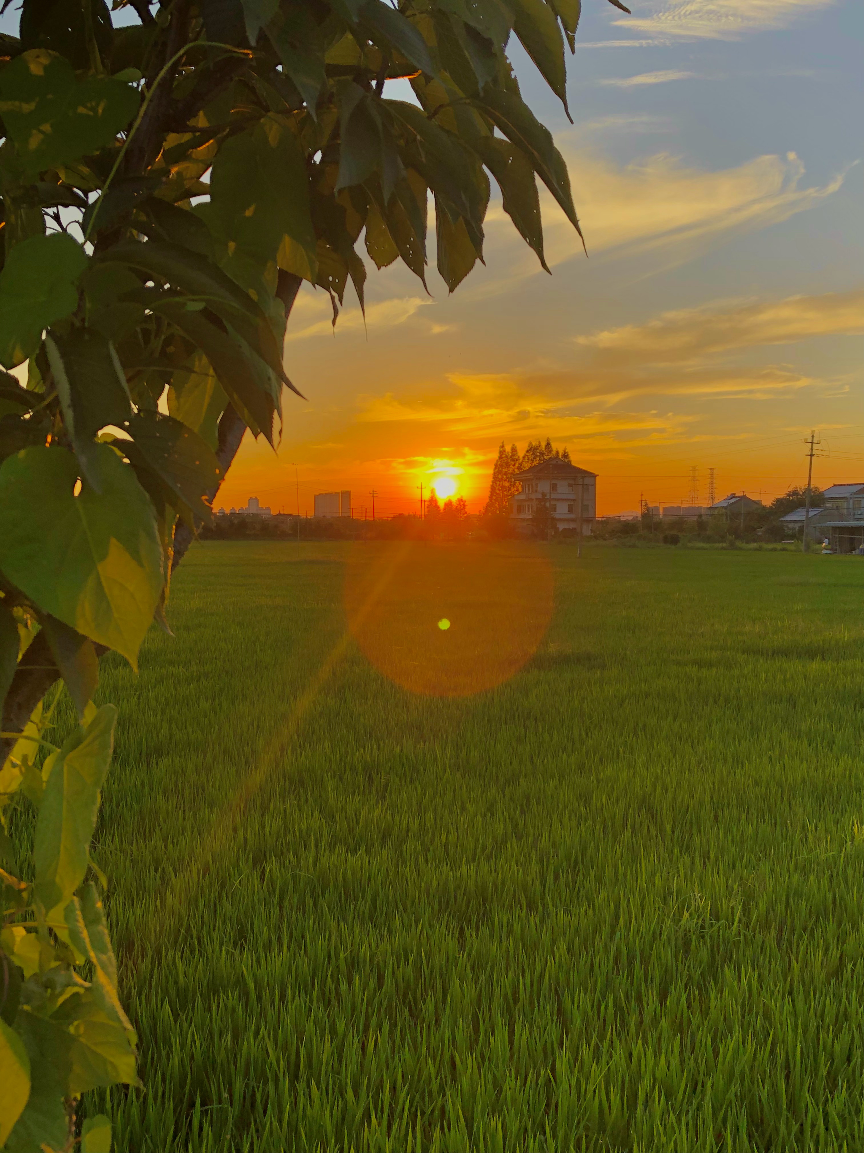 世上没有真理，只有视角，不能听命于自己者，就要受命于他人，如果一个人知道自己为什