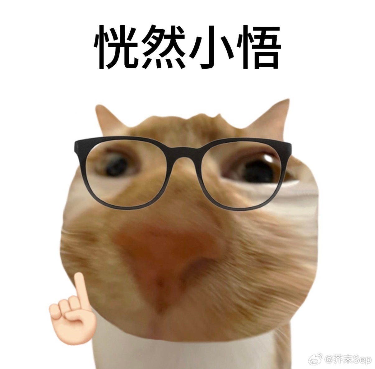 Agent用久了失去独立思考能力同时用好几个AI太爽了：有人负责出主意，有人负责