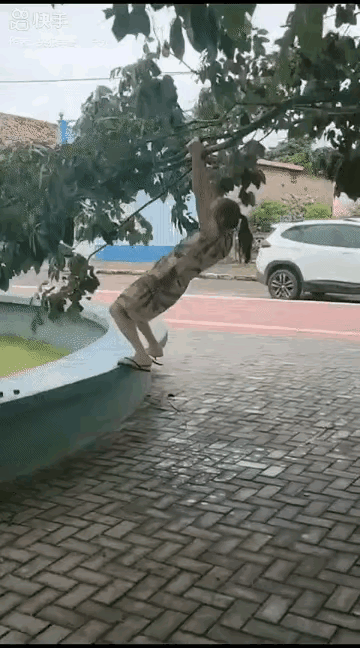 大妈你这练的啥功，废树又废腰[捂脸][捂脸][捂脸]锻炼大妈 晨练