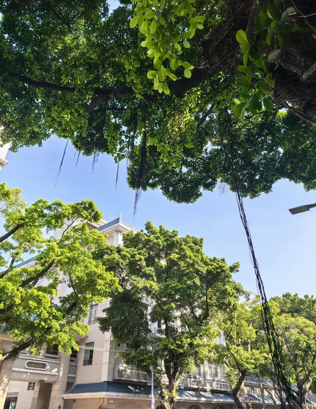 要是广州天天这样跟仙境有什么区别
天气好到想离职了[发怒][发怒][发怒]
抬头